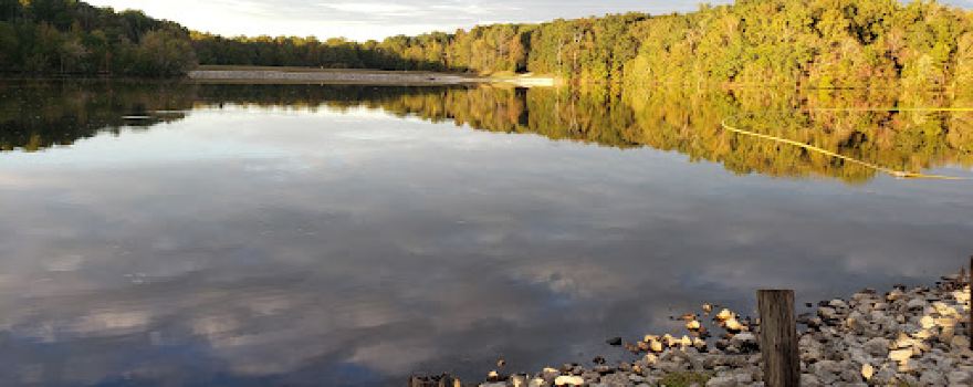 Pine Lake Picnic Area