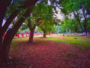 Library Ground [ Sector - 5 ]