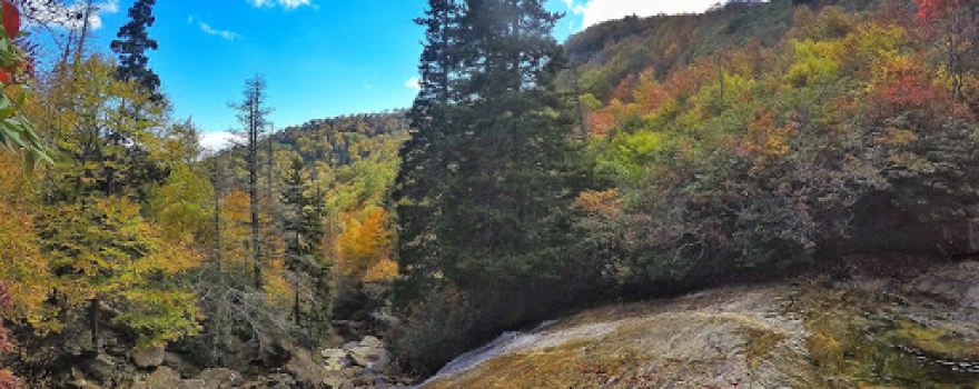 View Looking Glass Rock Overlook