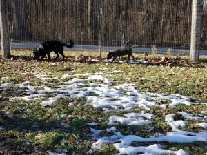 Geneseo Prairie Park