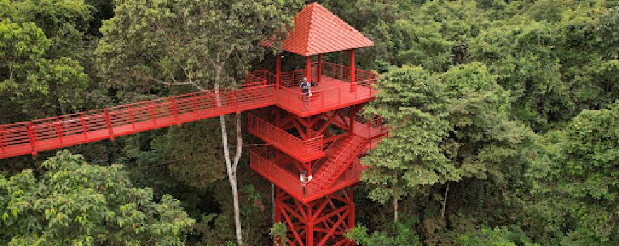 Canopy Walkway
