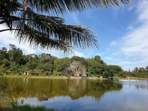 Bàu nước sôi (KDL Thác Mai)