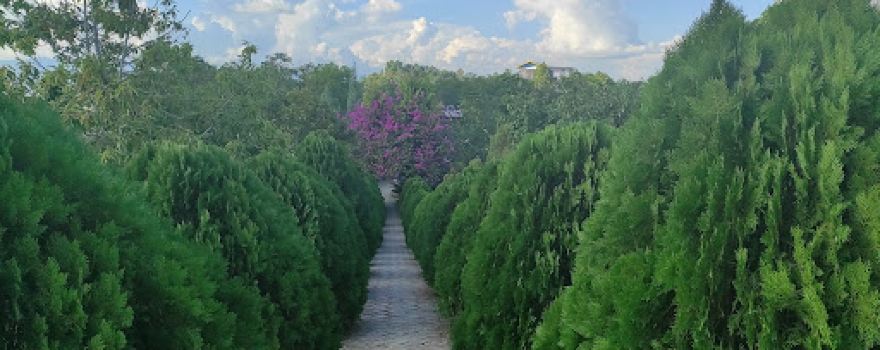 Omba and Nurathel Garden, Takmu Lake
