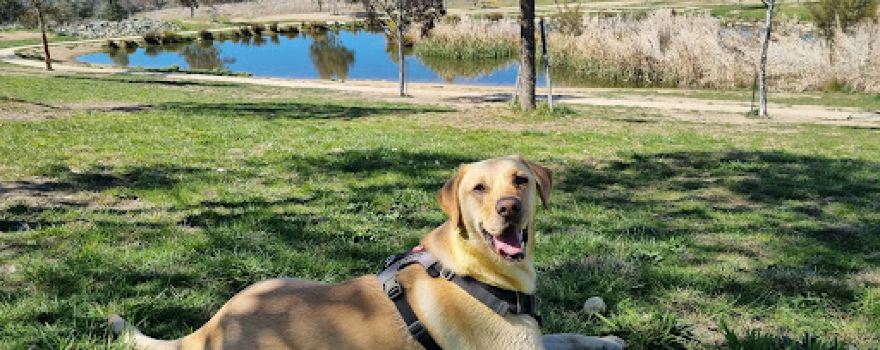 Barkley Dog Park