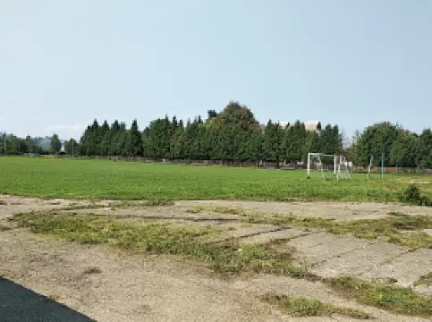 Arena "Dzvynyach"