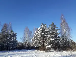 Деснянско-Старогутский национальный природный парк