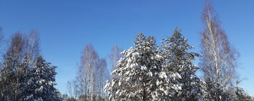 Natsionalʹnyy Pryrodnyy Park "Desnyansʹko-Starohut·sʹkyy"