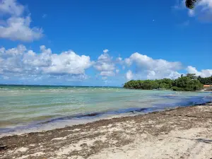 Praia Das Neves