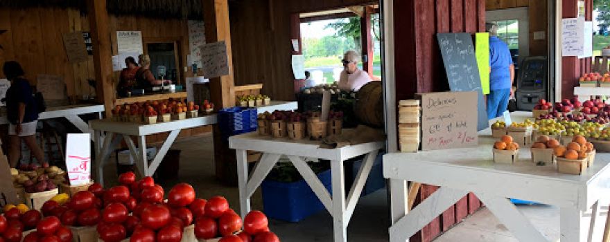 Greg's U-Pick Farm Market and CSA
