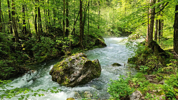 Bluntau Wasserfall