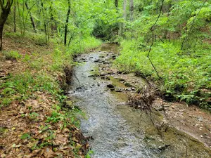 Hatchet Creek