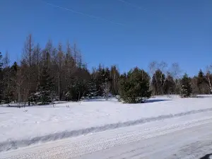 Busy Beaver Campground