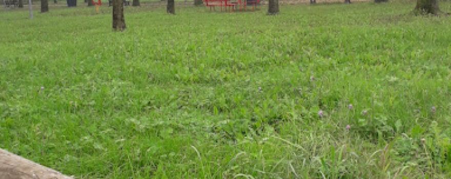 Parco delle Piramidi