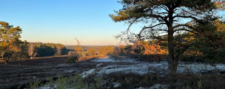 Schwindebecker Heide