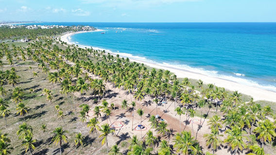 Coqueiral de Maracaípe