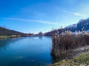 Ljeskove vode