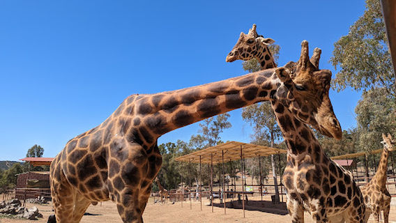 La Reserva Andalucía