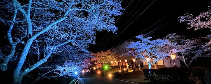 Miyasumi Park