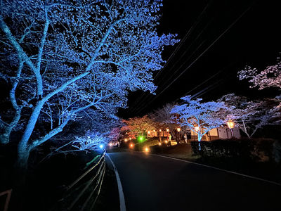 Miyasumi Park