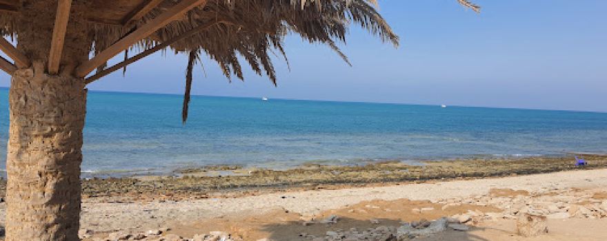 Health beach camp