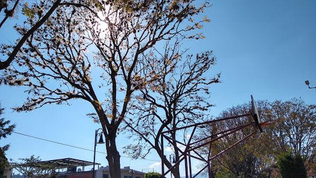 Plaza Tenencia Morelos