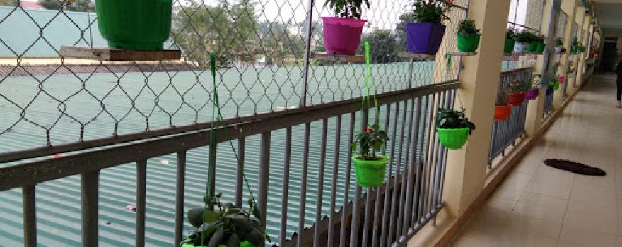 Sân vận động Thị trấn Phố Châu