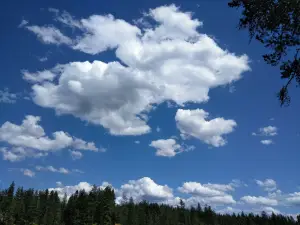 Bear Lake Regional Park