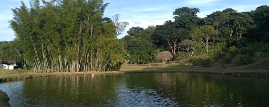 Pesca Y Lleve