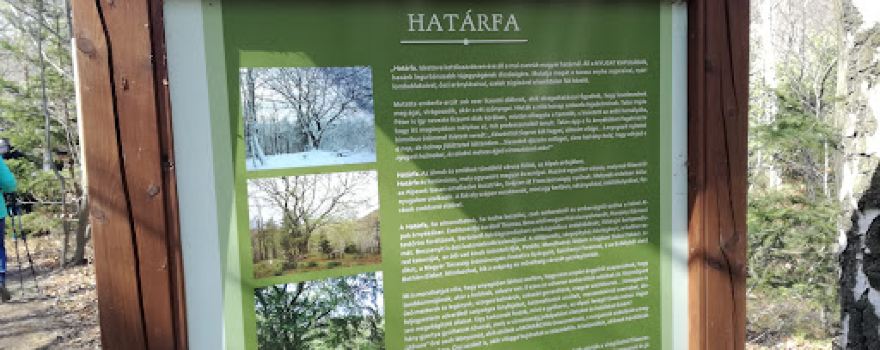 Határfa