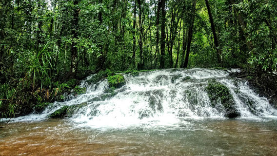 Dudhsagar Water Falls Trek