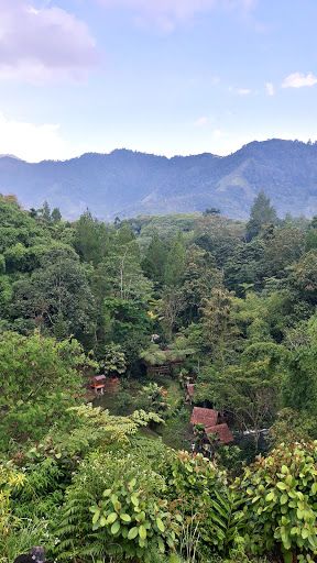Pentago Garden - Permata Dataran Tinggi Gayo