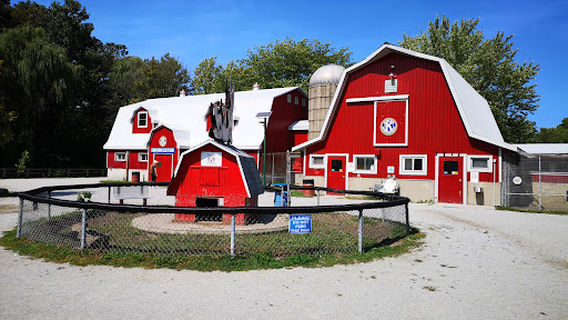 Children's Animal Farm