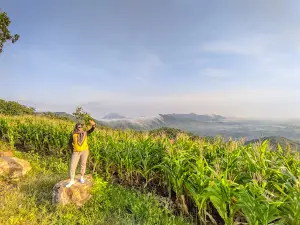 Puncak JOWIN