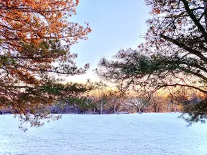 Camp Iyataka