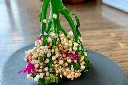 Fine Dining by Phillip Probst