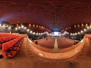 Vijay Picture Palace