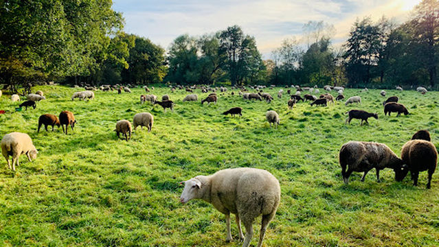Boberger Niederung Nature Reserve