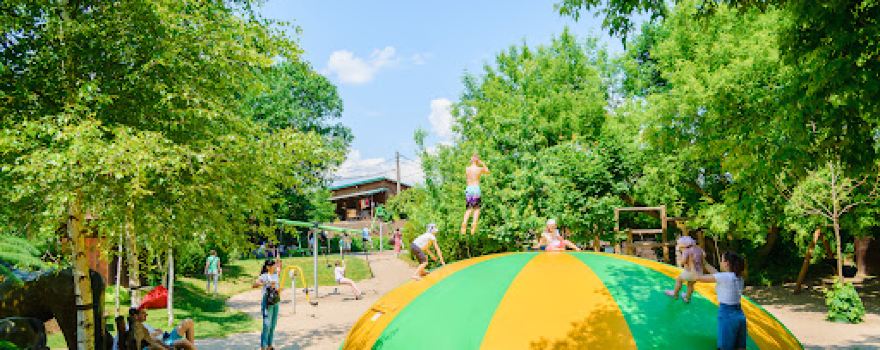 Berry Land (Ягідна Країна)