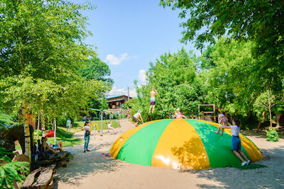 Berry Land (Ягідна Країна)