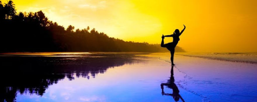 Yogaflex Locust Valley