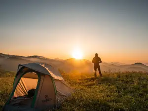 Seal Shore Campsite