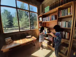 Sophie's Sunset Library