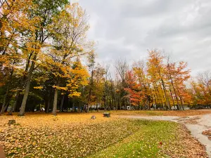 Lakefield Beach and Playground