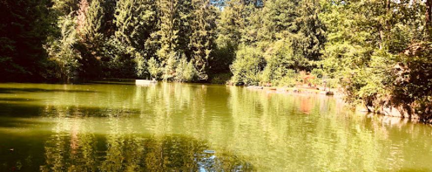 Goldbergsee