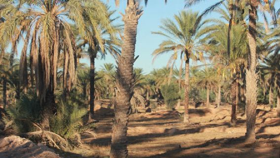Jebil National Park