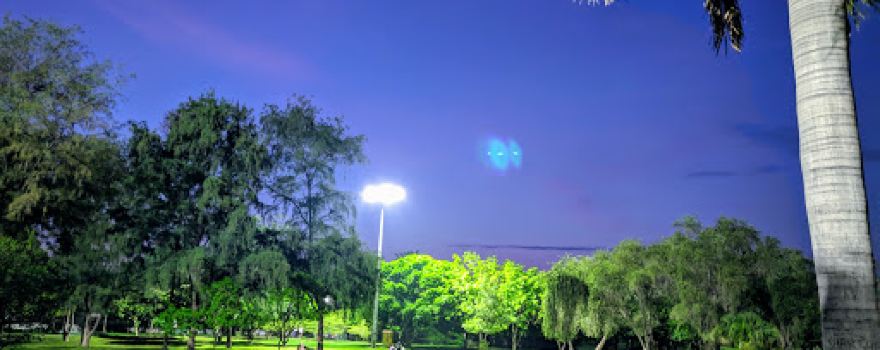 Chaudhary Surender Singh Memorial Park