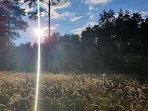 Sosnovyy Park
