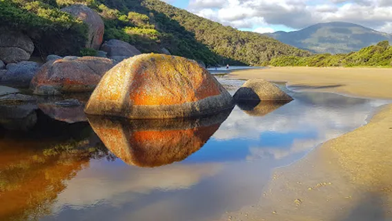 Tidal Overlook viewpoint