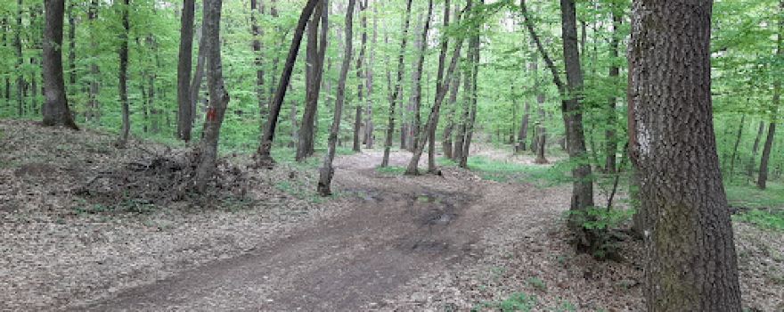 Crucea Cubleș - Drumul Romanilor