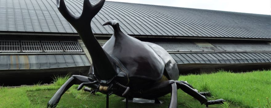 Gunma Museum of Natural History